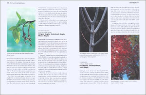 The Encyclopedia of North American Trees,Used
