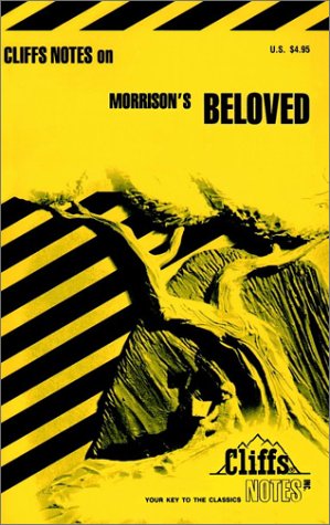 Morrisons Beloved (Cliffs Notes)-used