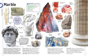 The Rock and Gem Book: And Other Treasures of the Natural World (DK Our World in Pictures),New
