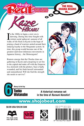 Kaze Hikaru, Vol. 6 (6)