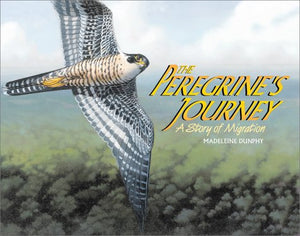 The Peregrine's Journey: A Story of Migration,Used