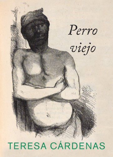 Perro Viejo (Spanish Edition),Used