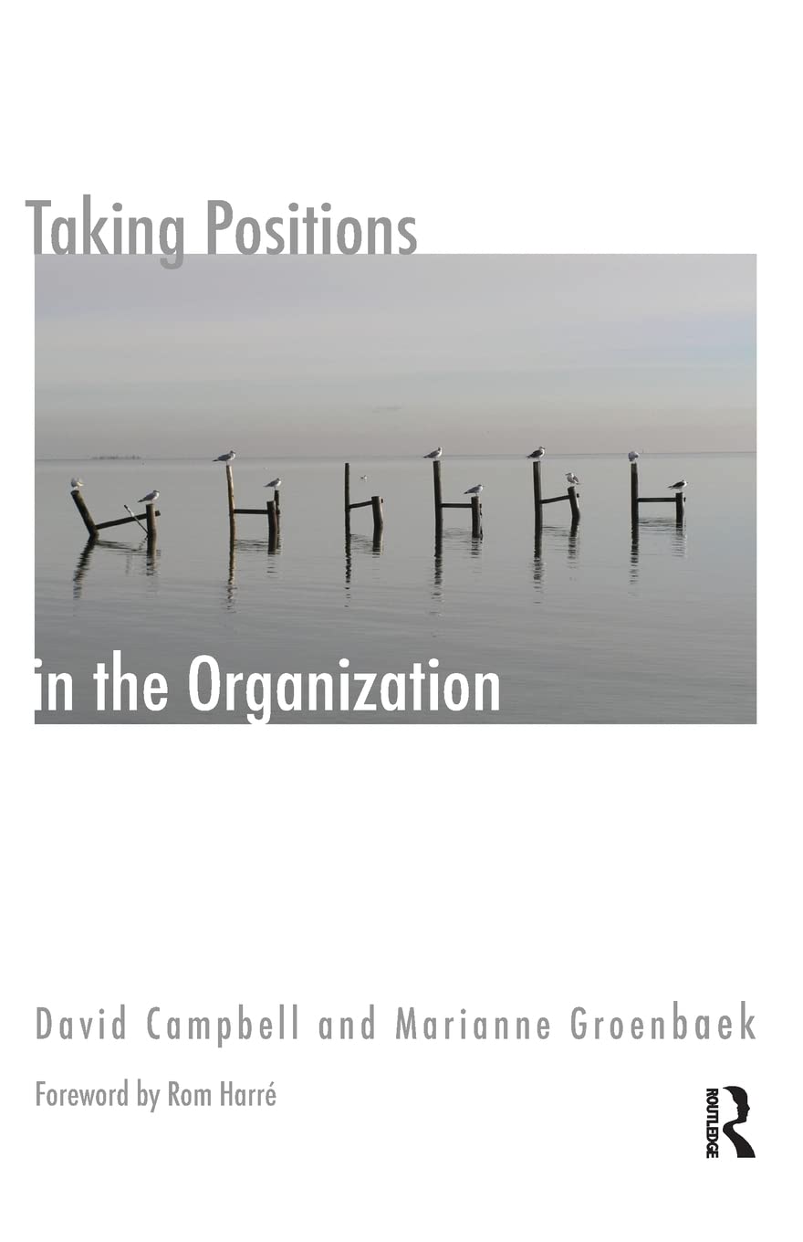 Taking Positions in the Organization (The Systemic Thinking and Practice Series: Work with Organizations),Used