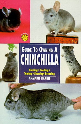 Guide to Owning a Chinchilla,Used