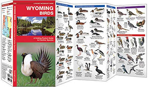 Wyoming Birds: A Folding Pocket Guide to Familiar Species (Wildlife and Nature Identification),Used