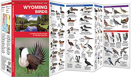 Wyoming Birds: A Folding Pocket Guide to Familiar Species (Wildlife and Nature Identification),Used