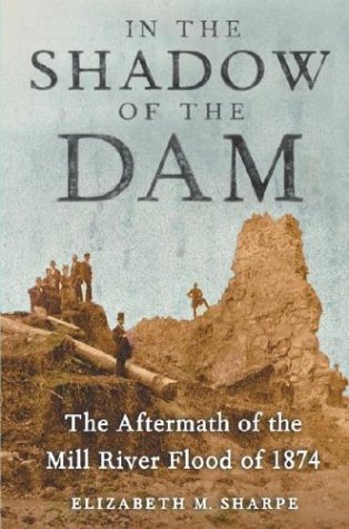In the Shadow of the Dam: The Aftermath of the Mill River Flood of 1874,Used