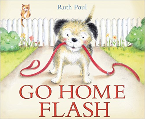 Go Home Flash,Used