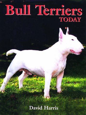 Bull Terriers Today,Used