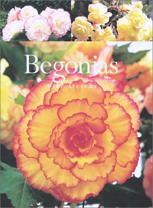 Begonias,Used