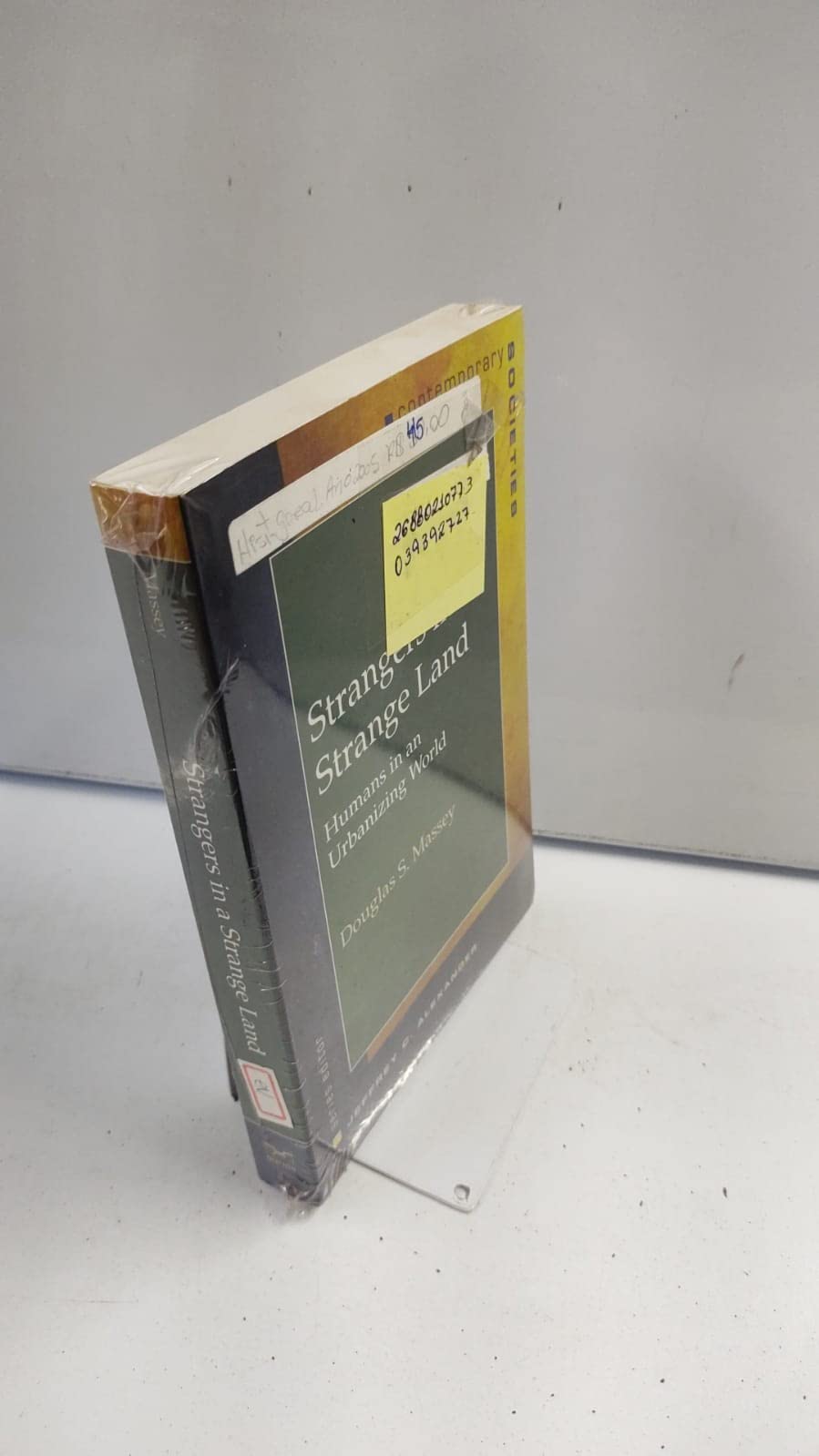 Strangers In A Strange Land: Humans In An Urbanizing World (Contemporary Societies Series),New