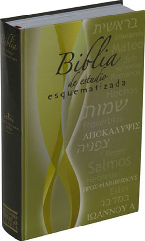 Biblia de Estudio Esquematizada / Schematic Study Bible (Spanish Edition),Used