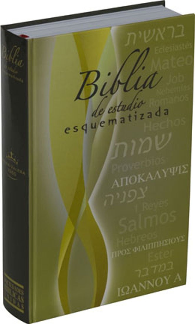 Biblia de Estudio Esquematizada / Schematic Study Bible (Spanish Edition),Used