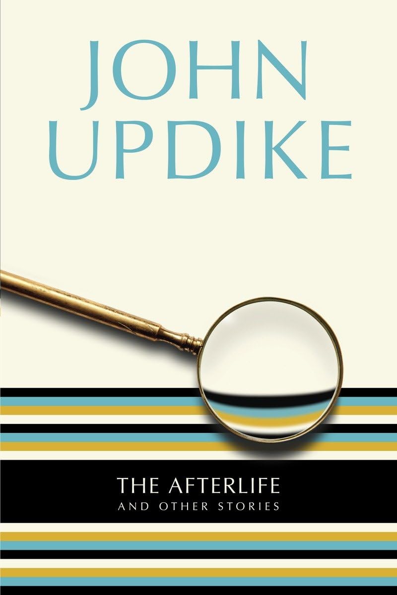 The Afterlife: And Other Stories,Used