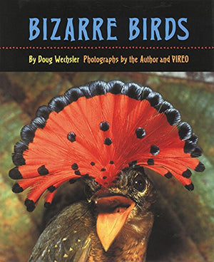 Bizarre Birds,Used