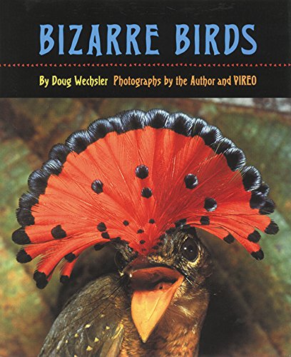 Bizarre Birds,Used