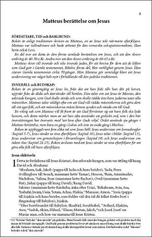 Levande Bibeln, Swedish New Testament, Paperback: Nya Testamentet (Swedish Edition),Used