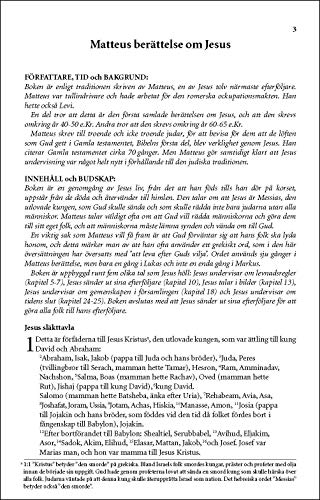 Levande Bibeln, Swedish New Testament, Paperback: Nya Testamentet (Swedish Edition),Used