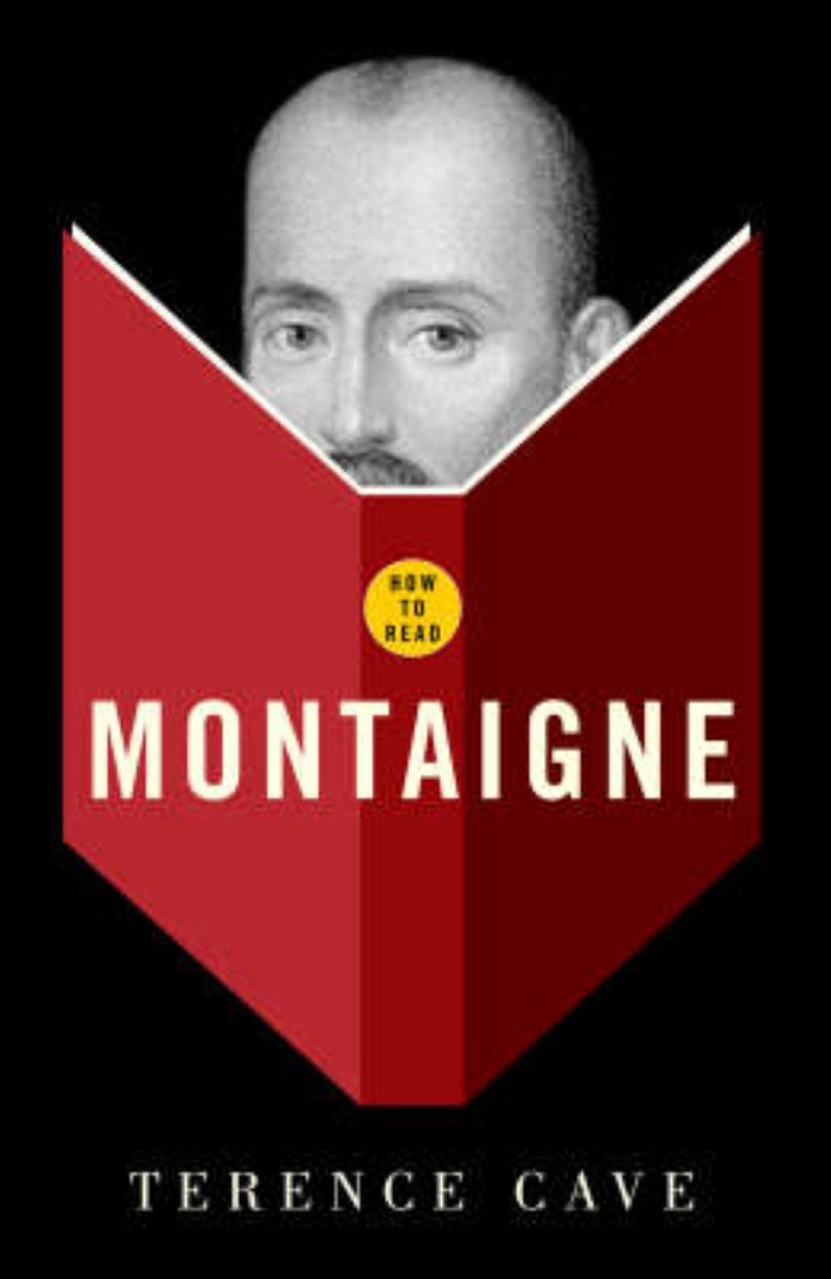 How To Read Montaigne,Used