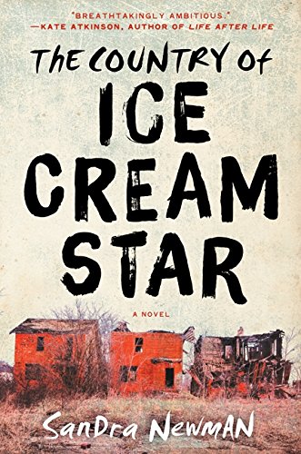The Country of Ice Cream Star,Used