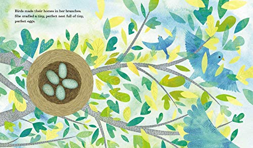 Beatrice Was a Tree,Used