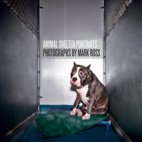 Animal Shelter Portraits,Used