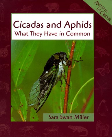 Cicadas and Aphids: What They Have in Common (Animals in Order),Used
