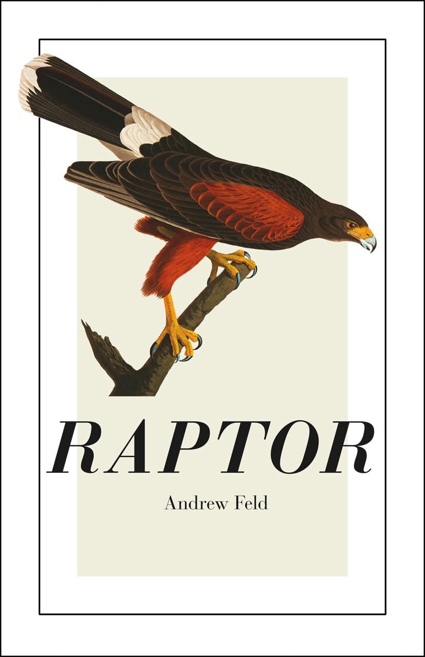Raptor (Phoenix Poets),Used
