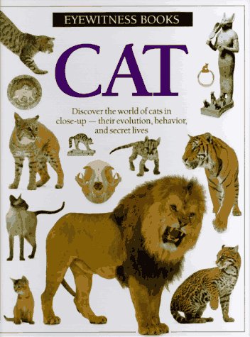 Cat (Eyewitness),Used