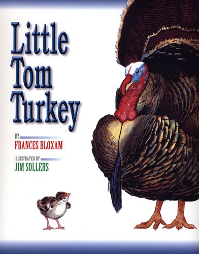 Little Tom Turkey,Used