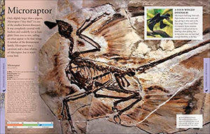 Dinosaurs: A Visual Encyclopedia, 2nd Edition (DK Children's Visual Encyclopedias),New