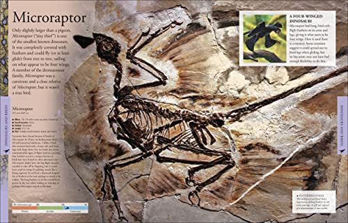 Dinosaurs: A Visual Encyclopedia, 2nd Edition (DK Children's Visual Encyclopedias),New