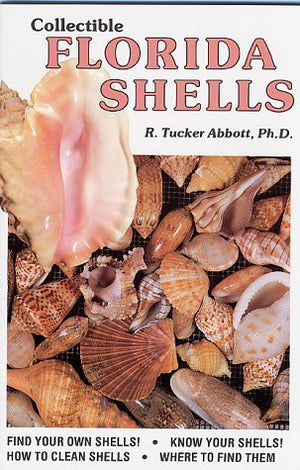 Collectible Florida Shells,Used