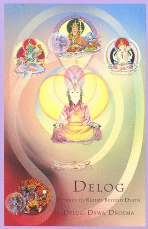 Delog: Journey to Realms Beyond Death,Used