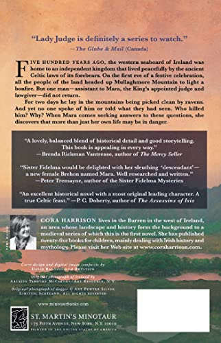 My Lady Judge (Mysteries Of Medieval Ireland),New