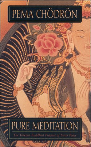 Pure Meditation: The Tibetan Buddhist Practice of Inner Peace,Used