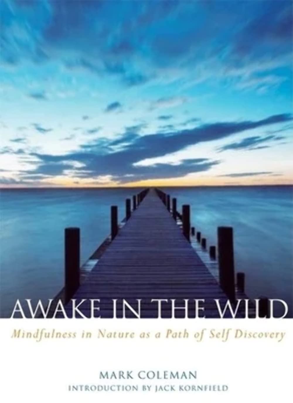 Awake in the Wild: Mindfulness in Nature as a Path of SelfDiscovery,Used