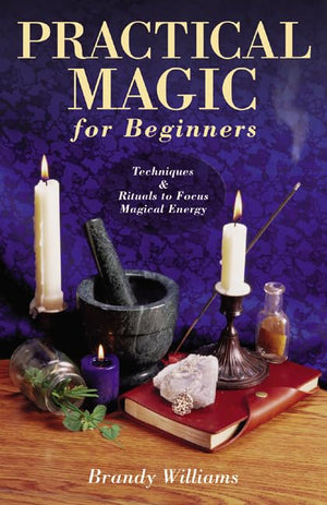 Practical Magic for Beginners: Techniques & Rituals to Focus Magical Energy (Llewellyn's For Beginners, 17),Used