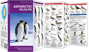 Antarctic Wildlife: A Folding Pocket Guide to Familiar Species of the Antarctic and Subantarctic Environments (Nature Observatio,New