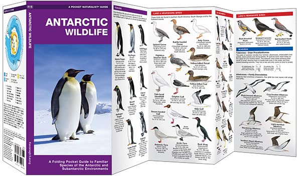 Antarctic Wildlife: A Folding Pocket Guide to Familiar Species of the Antarctic and Subantarctic Environments (Nature Observatio,New