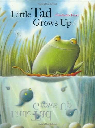 Little Tad Grows Up