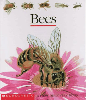 Bees (First Discovery),New