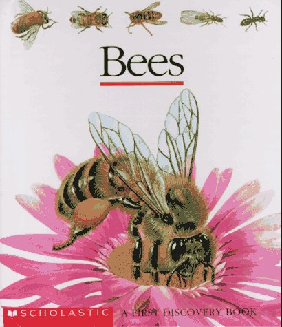 Bees (First Discovery),New