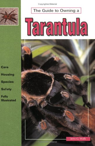 The Guide to Owning a Tarantula,Used