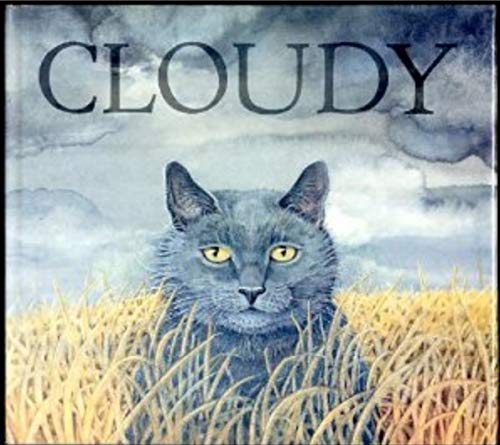 Cloudy,Used