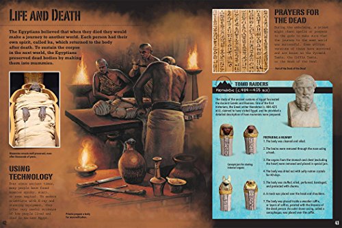 Trailblazers: Tomb Raiders,Used