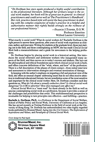 Clinical Social Work: Definition, Practice, and Vision (Brunner/Mazel Basic Principles into Practice Series, 9),Used