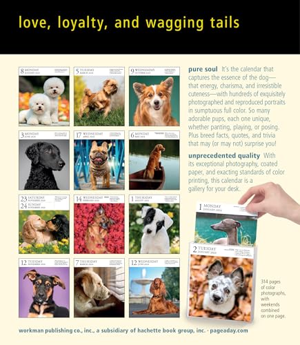 Dog Pageaday Gallery Calendar 2024: An Elegant Canine Celebration