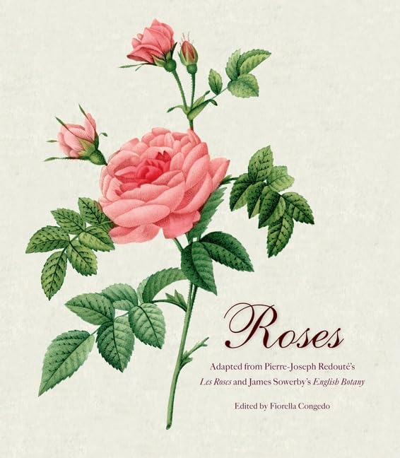 Roses: Mini Archive With Dvd,Used