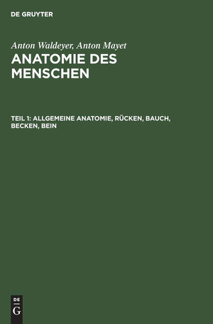 Allgemeine Anatomie, Rcken, Bauch, Becken, Bein (German Edition),Used
